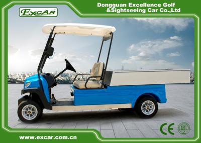 Carros azuis da companhia de eletricidade do CAD 48V 5KW Acim