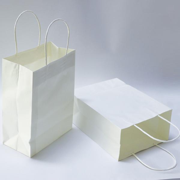 5kg Printed Paper Carrier Bags