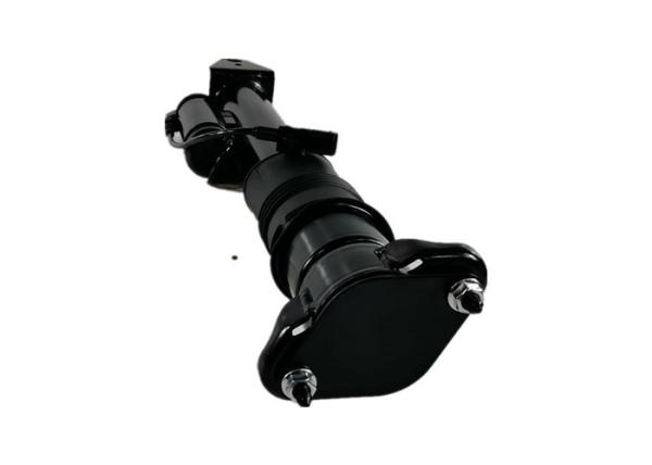 ISO W251 Mercedes Benz Air Suspension Rear Strut Replacement 2513201931