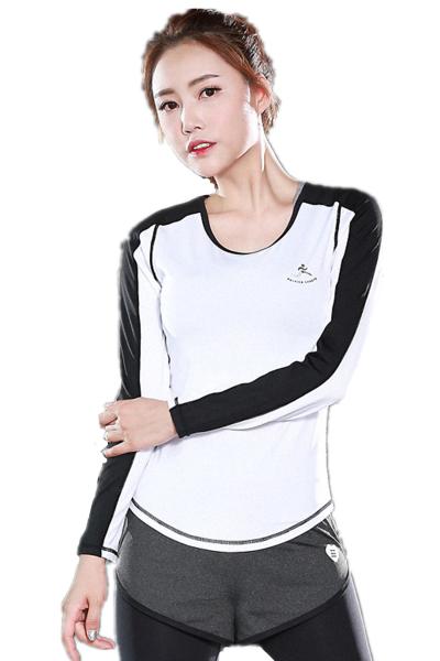 CPG Global Women Multi-Color Breathable Polyester Slim Fit Long Sleeves Round Collar Running T-Shirts Small-Large S53