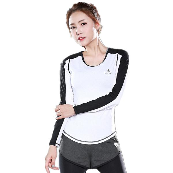 CPG Global Women Multi-Color Breathable Polyester Slim Fit Long Sleeves Round Collar Running T-Shirts Small-Large S53