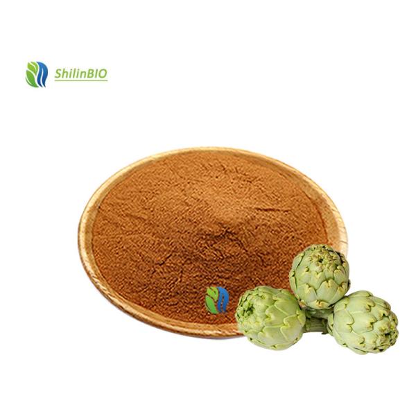 Artichoke Extract Powder 2.5%-5% Artichoke acid / Cynarin