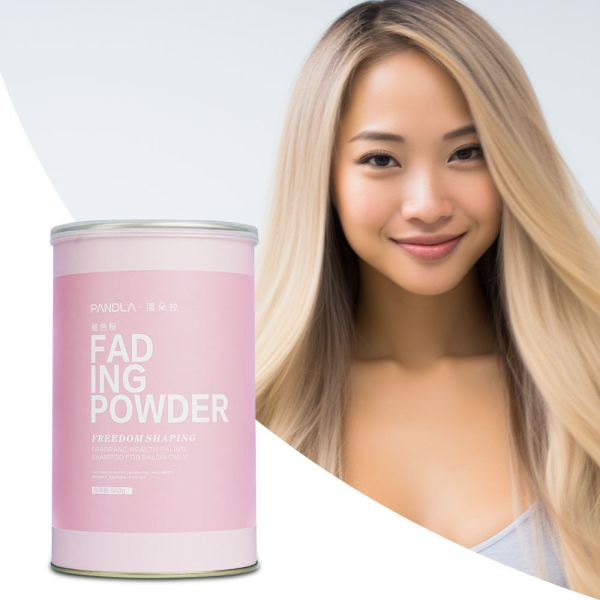 Poudre Décolorante pour Cheveux Herbal Salon 500g Sans Irritation