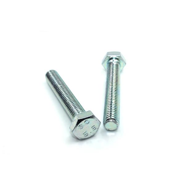 ISO9001 2015 Certified 8.8 10.9 Grade Galvanized Hexagon Hex Head Bolt