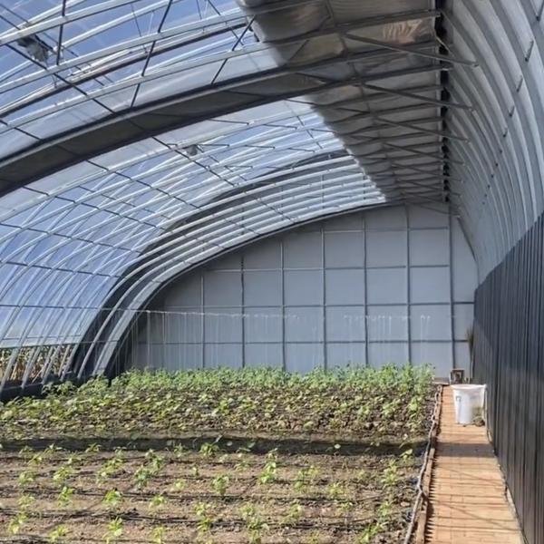 Agricultura com luz solar Aquicultura em estufa Sistema de cultivo hidropónico JX-A00201