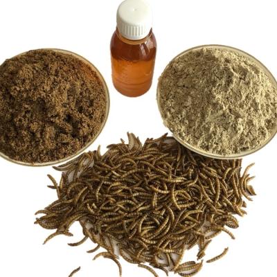 Fish Chicken Mealworm Powder Light Brown 8.35 KG / Bag