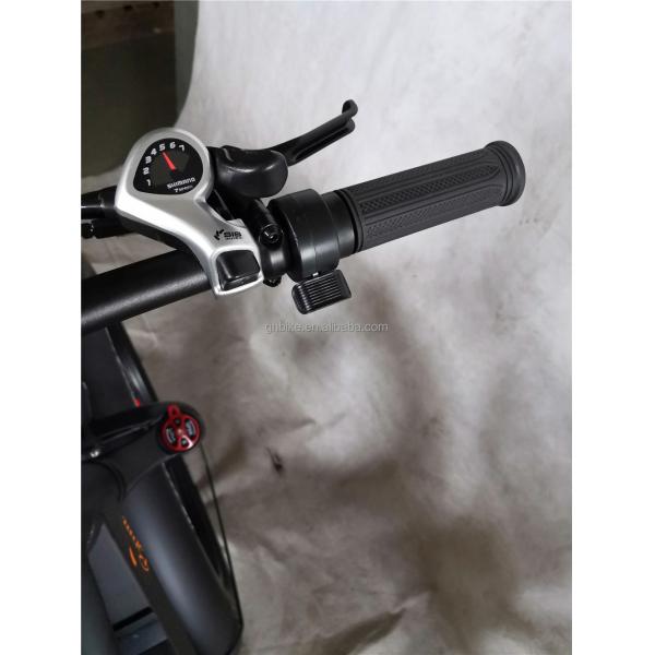 Adult Fat Tyre Cycle E Ebike Electric Bike 48V 1000W 21A Central Mid Drive Motor 26 Inch
