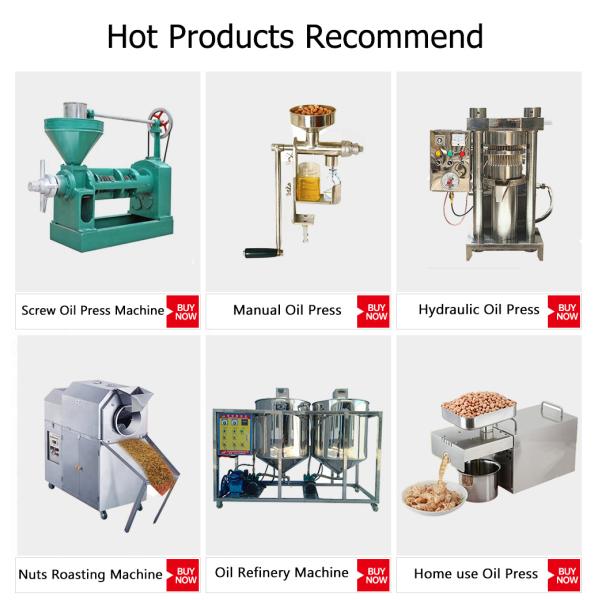 Automatic Grade High Yield Canola Oil Extraction Machine for Home Oil Press/Coconut Oil Squeezer