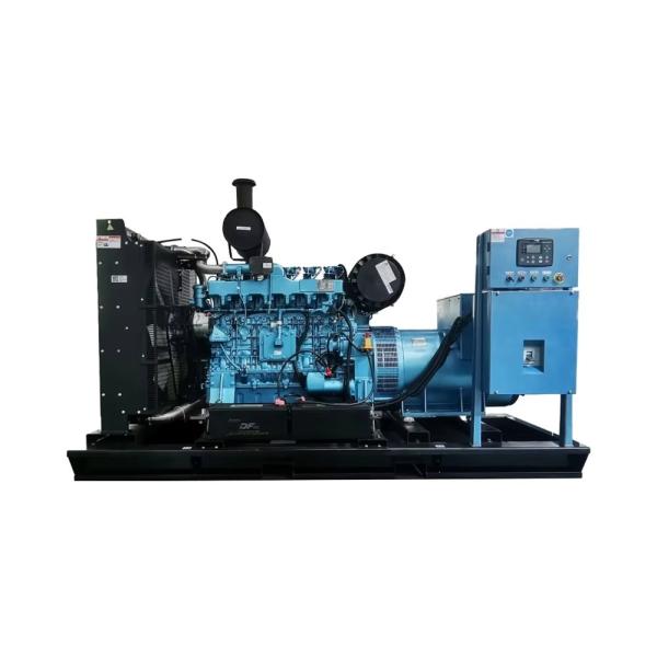 250KW 312Kva CNG Gas Generator Environmental Protection And Energy Saving
