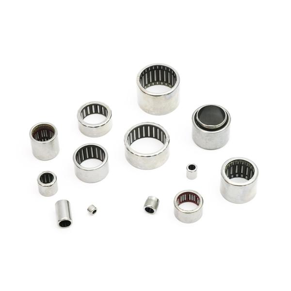 Compact One Way Drawn Cup Needle Roller Clutch Positioning Clutches Backstop Clutches Overtaking Clutches