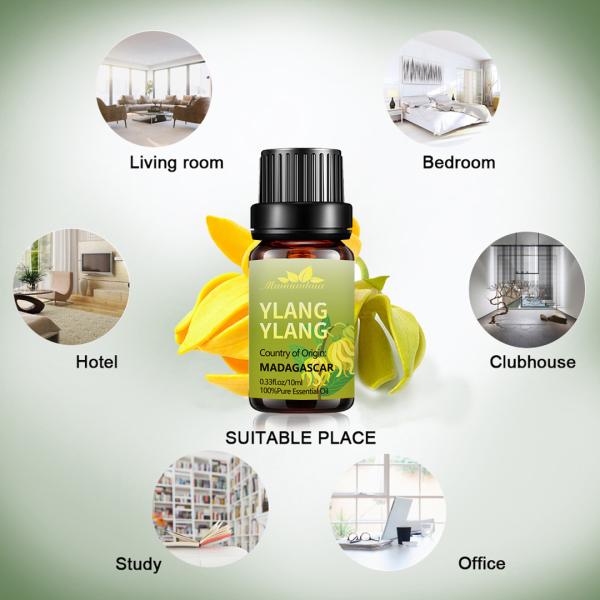 Os óleos essenciais do corpo amarelo perfumam a pele pura do óleo essencial do USDA 25kg Ylang Ylang