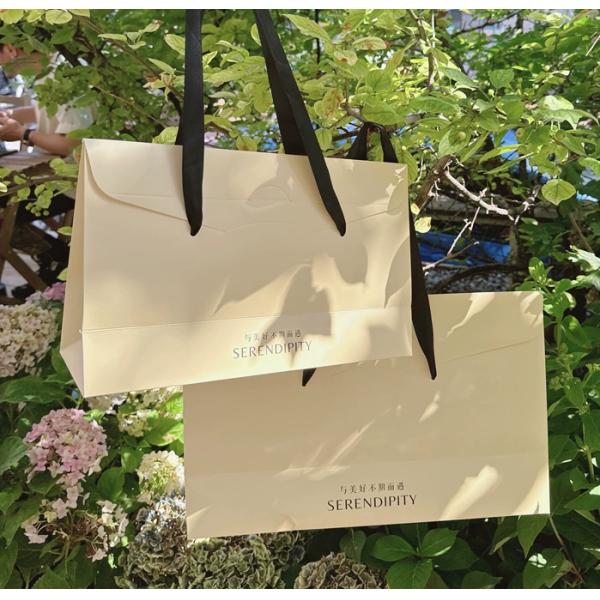 Wholesale Custom Printed Shopping Bags For Clothing Spa Jewelry Packaging