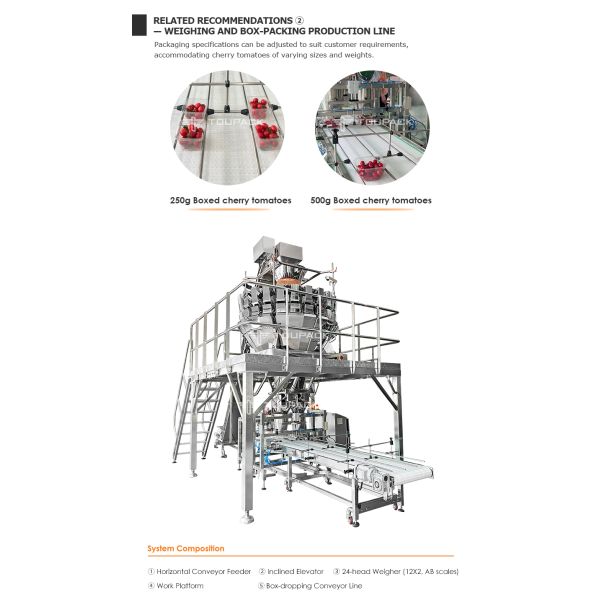 Automatic Plastic Box Weighing Filling Machine For Fruit And Vegetable