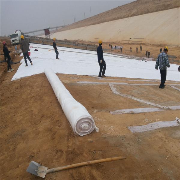Geotextil não tecido para construções civis 100 g/m2-800 g/m2 Certificado ISO9001