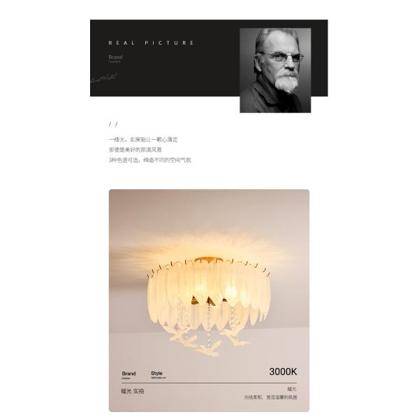 Creative Glass Feather Chandelier Modern Living Bedroom Kitchen Island Hanging(WH-CY-252)