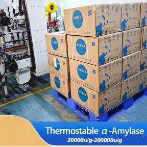 Polvo como la alfa amilasa 200000u/g. Enzimas alimenticias solubles en agua