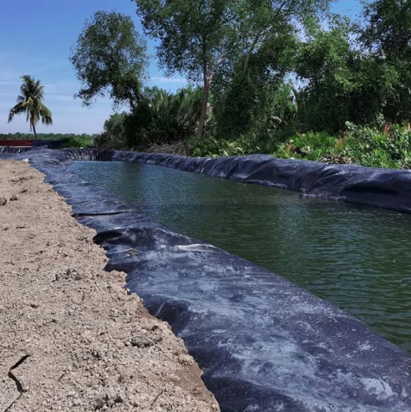 HDPE Geo Membrane Geomembrane Dam Fish Farm Tank Pond Liner with 0.2mm-3mm Thickness