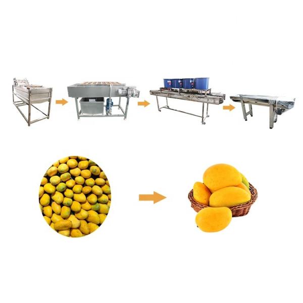Hot selling Ozone Fruit Washer With High Quality And Best Price by Huafood