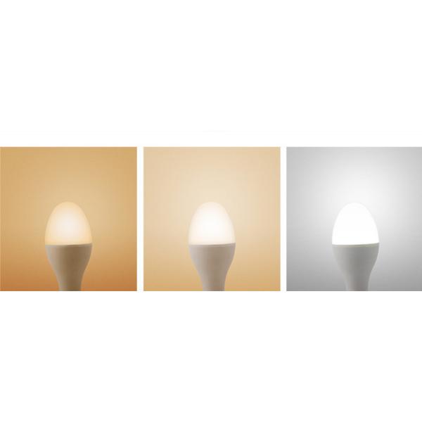 Bowling Indoor Led Light Bulbs 20w 30w 40w 50w High Power