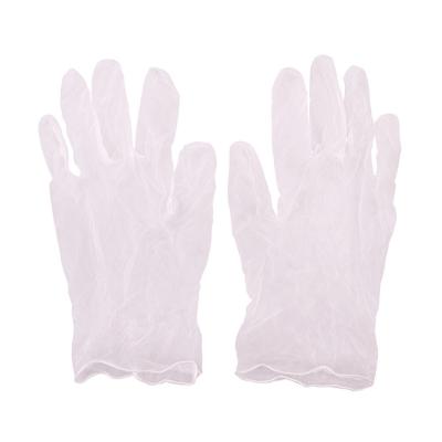 Disposable vinyl gloves for food service Powder-free Disposable Vinyl Gloves medical vinyl gloves