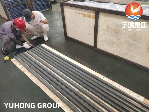 ASME SA249 TP304 Extruded Fin Tubes With AL1060 Fins For Heat Exchanger And Boiler