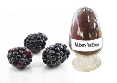 Fruit Mulberry Root Extract , Natural Herbal Extract Anthocyanidins 5% - 25%