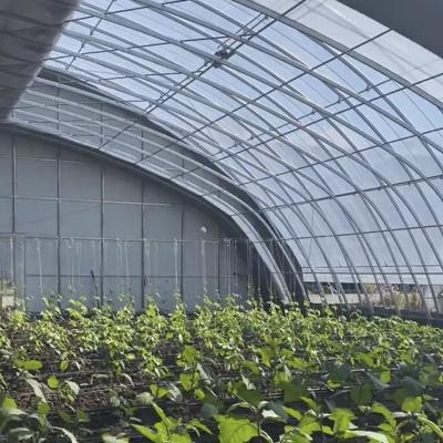 Sistema de estufa de hidroponia de filme vegetal personalizável para eficiência multi-span