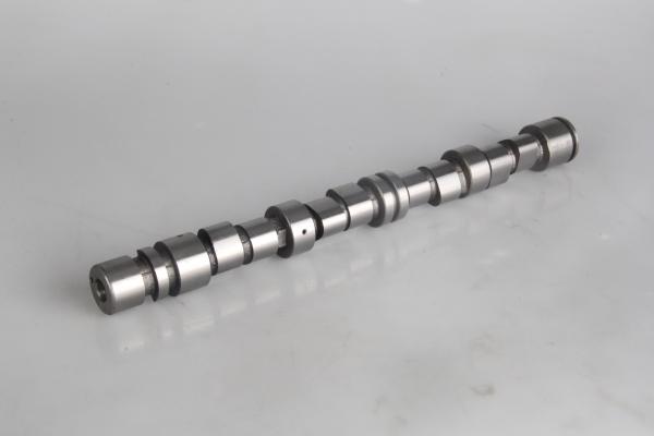 Professional Car Engine Camshaft OPEL OEM 24548 636041 for Z16SE / X16SZR