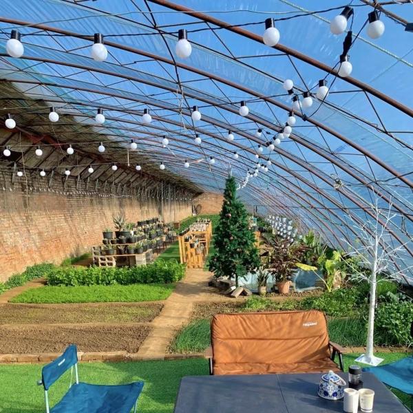 Package Gross Weight 100.000kg Sunlight Greenhouse Drip Irrigation for Flower Planting