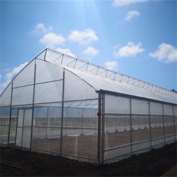 Tropical Saw Tooth Polythene Grow Tunnel Roof Ventilation 200 Micron PE Film