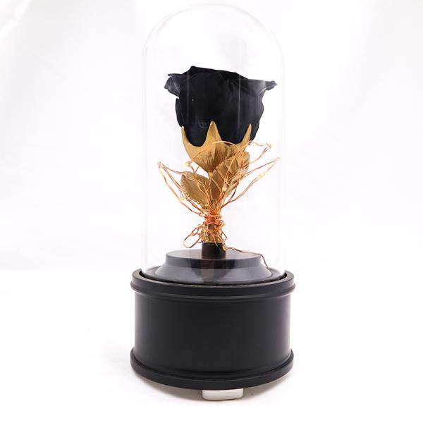 Увековечиванные стеклянные вечные розовые дикторы Блуэтоотх держа свежими на долгое время