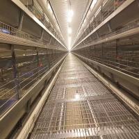 poids en acier de la cage 150kgs de poulet de batterie de couche de 450cm2/Bird Q235