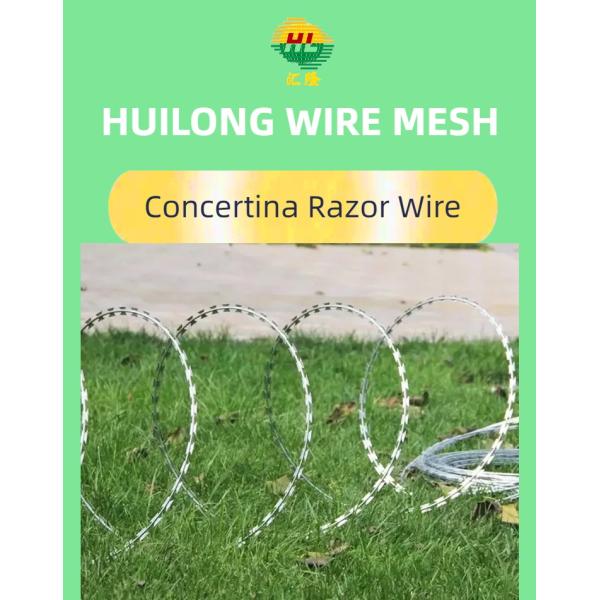 Горячая DIP Concertina Bto-22 типа колючей проволоки из Китая