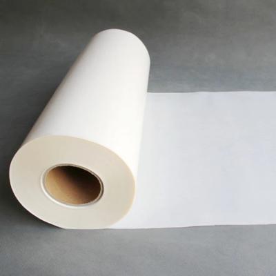 Hot Sale Hot Melt Adhesive Films For T Shirt Clothing Hot Melt Adhesive Powder