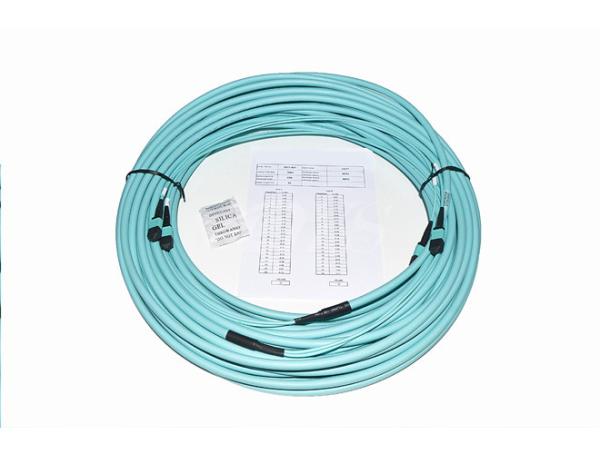 24 cabos de remendo do cabo do tronco da espinha dorsal da fibra 100G OM4 MTP/MPO