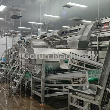 Industrial Carrot Processing Line 20T/h Capacity SUS304 Stainless Steel