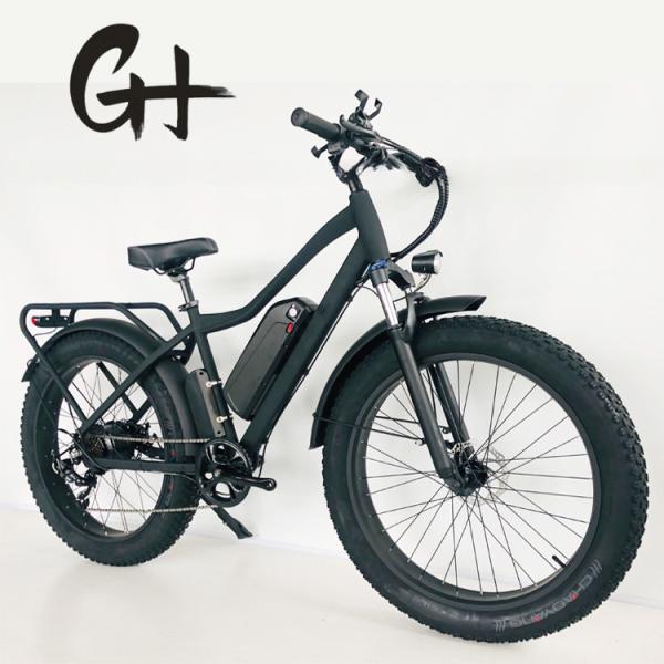 26 inch PAS 750W 1000W 48V Lithium Battery Fat Tire Mountain Electric Bike for Adult Men