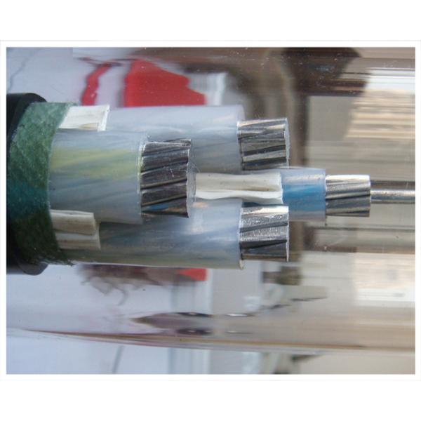                    Comprehensive XLPE Insulated Power Cable for Large Scale Utilities             