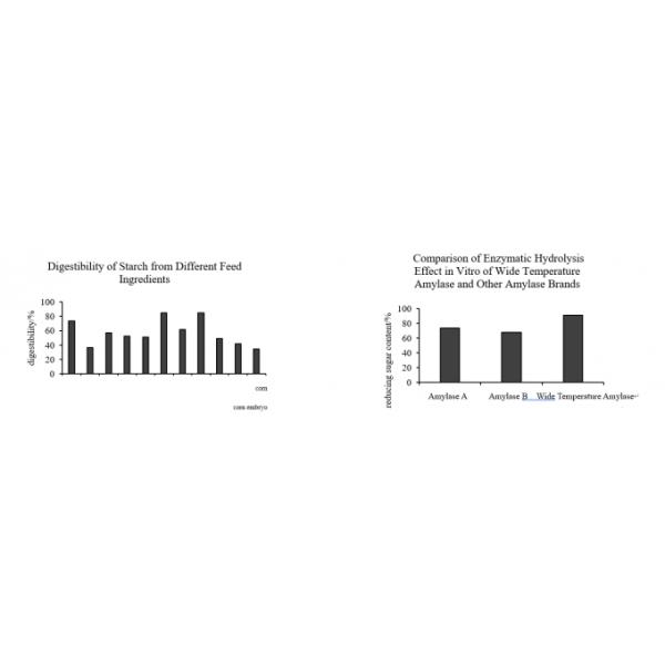 20000U White Alpha Amylase Powder Cas 9000 90 2 For Premix -Heat Stable Alpha Amylase