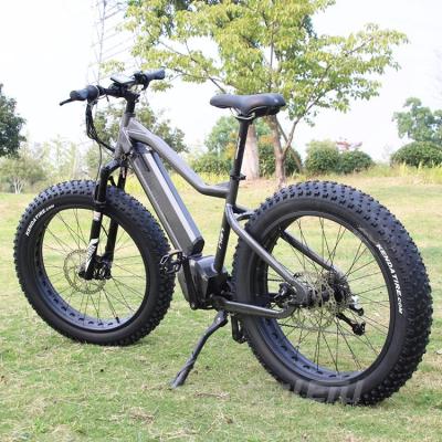 Fat City E Bike With TEKTRO Hydraulic Disc Brake CE RoHS Certificate