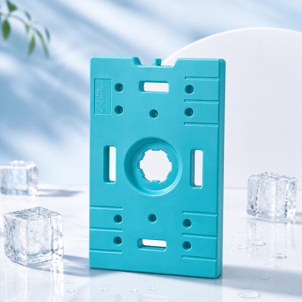 Easytoclean True freezer ice box designed to provide cold storage with easy to clean materials ensuring maintenance