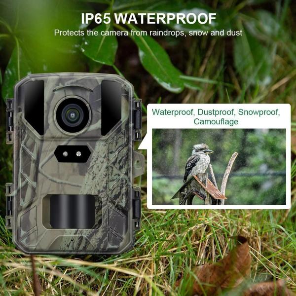 Mini Trail Hunting Camera  24MP 4k1080P Wildlife Night Vision Cameras Wild Hunter Cam