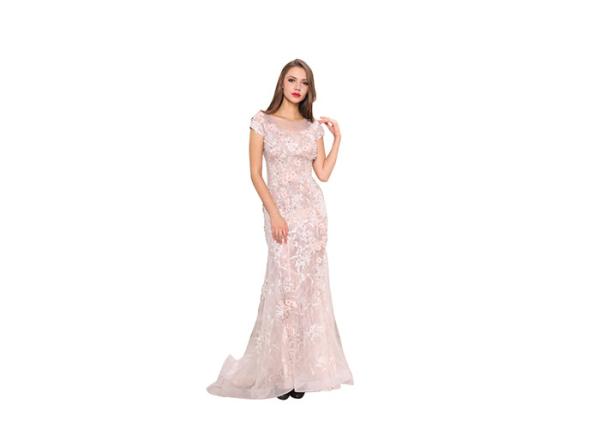 Pink Appliqued Middle Eastern Evening Gowns , Short Sleeve Middle East Women'S Dress