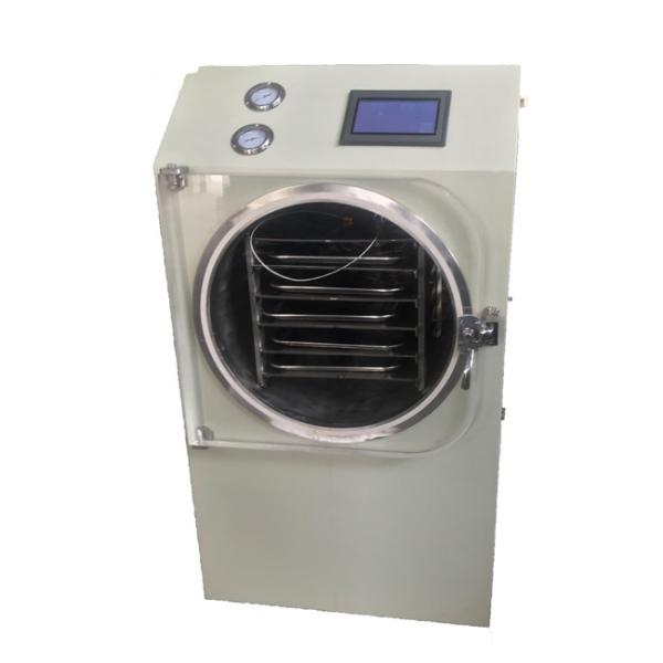 8kgs Vertical Small Freeze Dryer SUS304 Mini Freeze Drying Apparatus Easy Operation