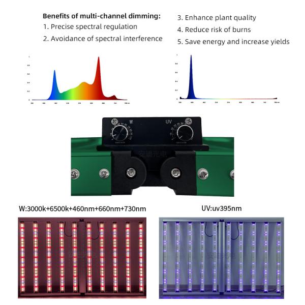 Commercial Hydroponique à spectre complet 4x6ft 10 Bar à double canal UV 1100W LED Grow Lights avec les puces Samsung LM301H EVO LM281B