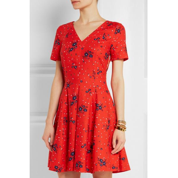 Women New Designed Printed Mini Dress