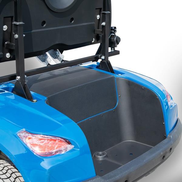 New Energy Blue Golf Cart 2 Person 48 Volt Electric Club Car Manufacturer