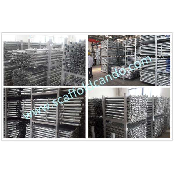 Q345B Q235 Ringlock standards verticals for ringlock scaffolding system 500mm,1000mm,1500mm,2000mm,2500mm,3000mmL