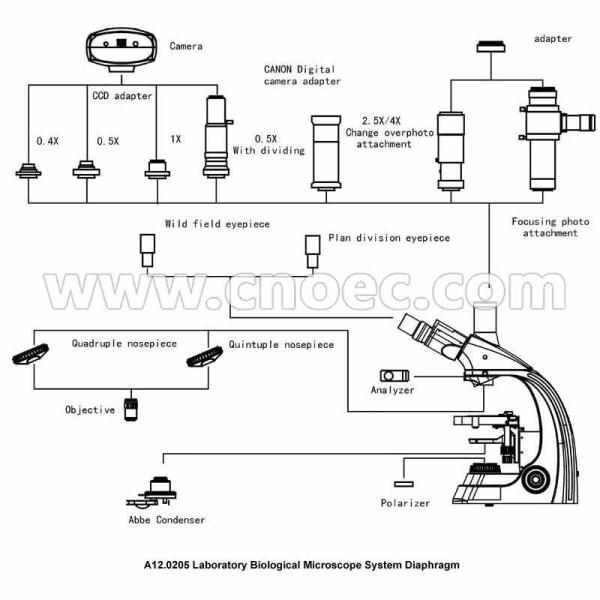 1000x Compound Optical Microscope A12.0205 Trinocular Led Light Source