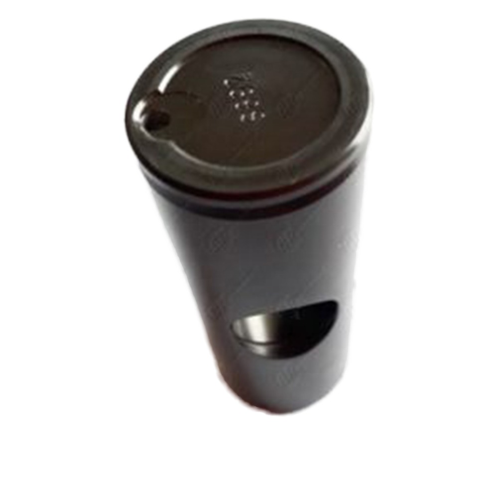 OEM Support Truck Automatic Advance Diesel Engine Timing Piston Car VE Pump Parts with Custom Packing
